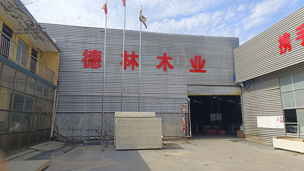 德林木业厂房厂景